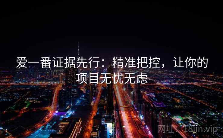 爱一番证据先行：精准把控，让你的项目无忧无虑