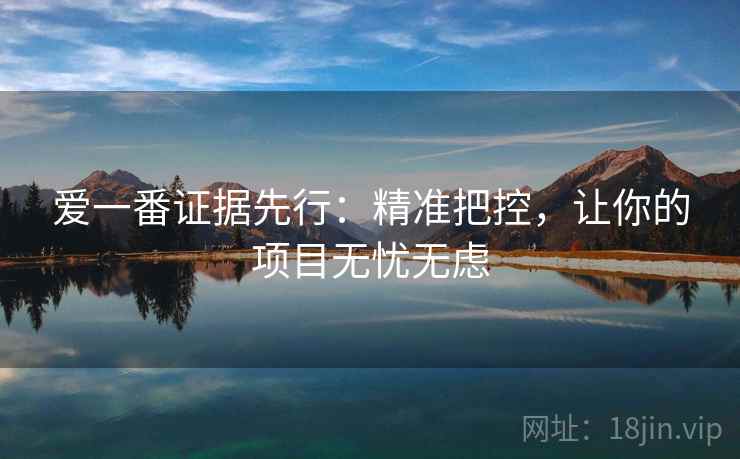 爱一番证据先行：精准把控，让你的项目无忧无虑
